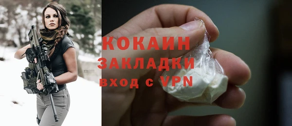 шишки Козельск