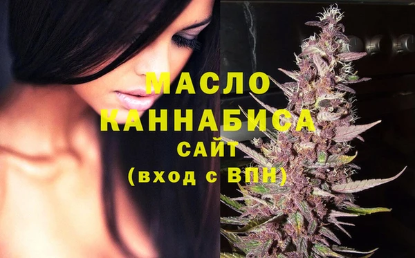 дмт Киреевск