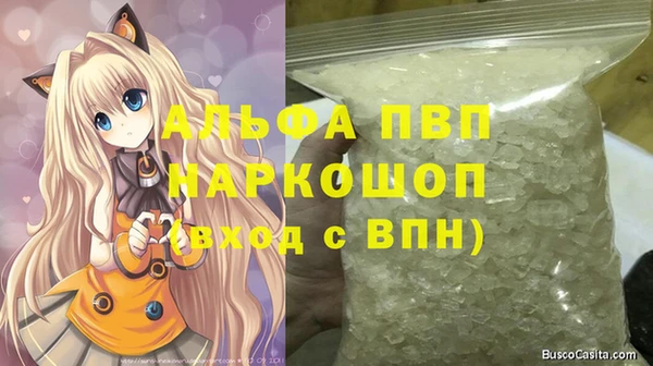 шишки Козельск