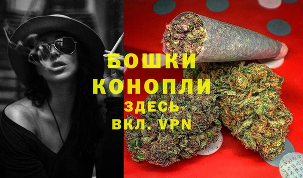 дмт Киреевск