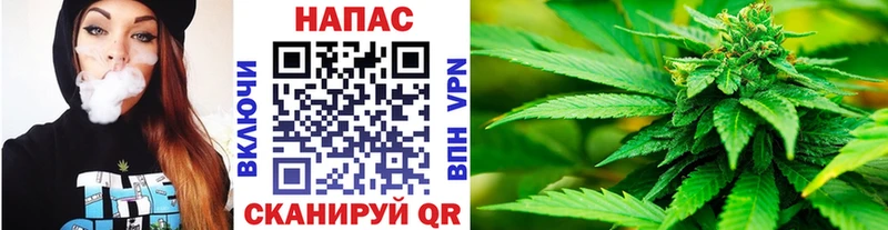 Купить  Богородск  Конопля план 